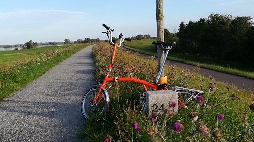 Beside the Elbe in August